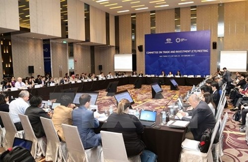 2017年APEC第一次高官会及相关会议进入第十天