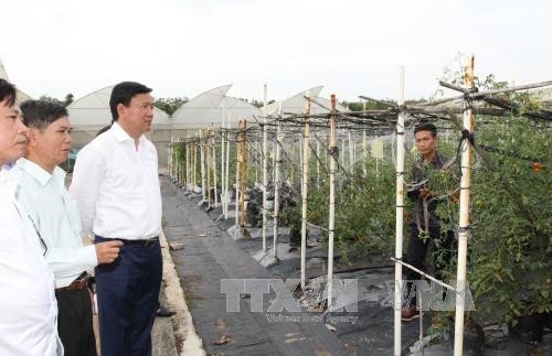 Bí thư Thành ủy Thành phố Hồ Chí Minh thị sát Khu Nông nghiệp Công nghệ cao