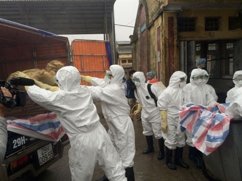河内市举行人感染甲型H7N9禽流感防控演练