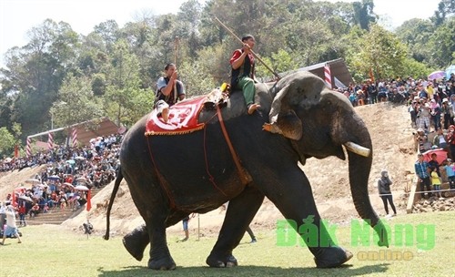 Đặc sắc Lễ hội đua voi và đua thuyền độc mộc trên hồ Lắk
