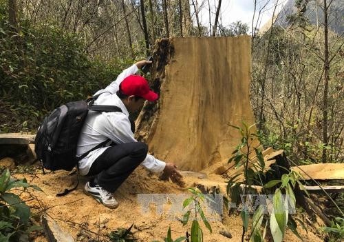Phản hồi thông tin của TTXVN: Điện Biên tổ chức tuyên truyền cho người dân ký cam kết bảo vệ rừng