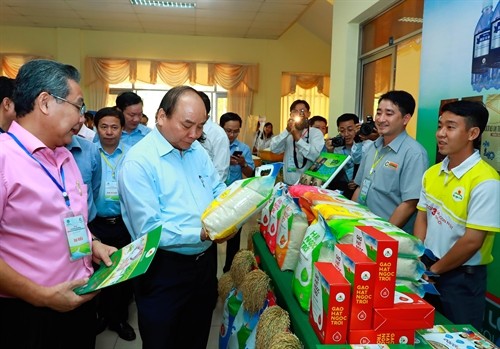 Thủ tướng Nguyễn Xuân Phúc chủ trì hội nghị tìm giải pháp phát triển bền vững ngành hàng lúa gạo vùng ĐBSCL