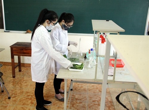 Hai học sinh nữ ở Tuyên Quang chế tạo thành công chế phẩm xử lý dư lượng thuốc bảo vệ thực vật trên cây chè