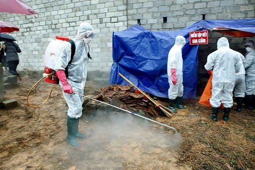 越南严防亚型H7N9禽流感病毒传入境内