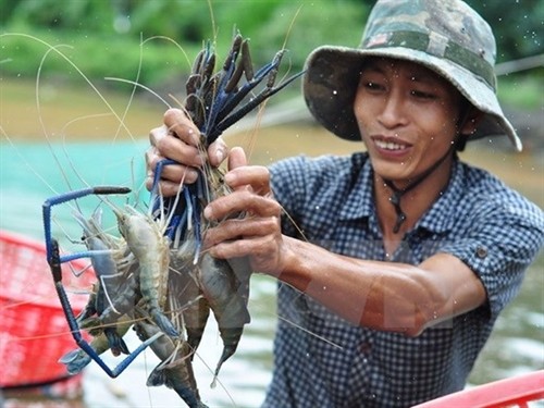 “越南优质水产品”计划正式启动