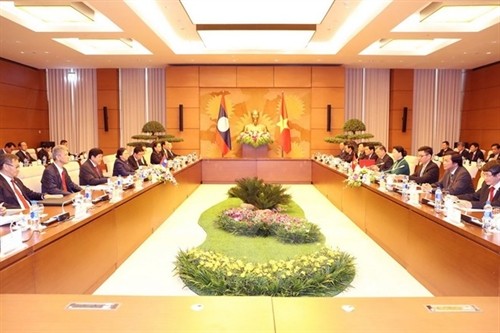 国会主席阮氏金银与老挝国会主席巴妮·雅陶都举行会谈