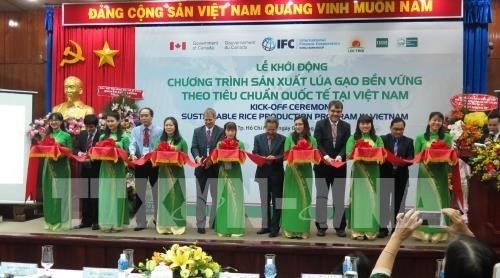 越南农民采用国际标准推动稻米可持续生产