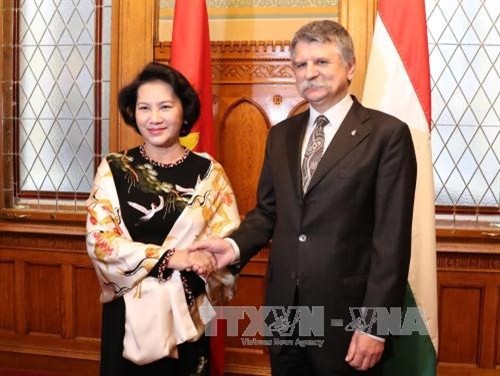 越南国会主席阮氏金银同匈牙利国会主席克韦尔举行会谈