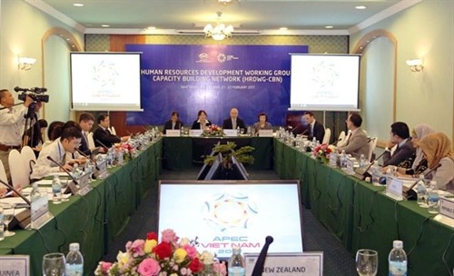 2017年越南APEC会议：人力资源开发成为APEC优先的合作领域