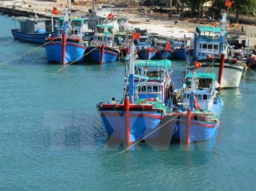 越南渔船在澳大利亚海域被扣押