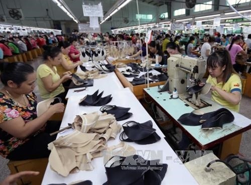 越南皮革和制鞋工业发展规划需确保其可持续性