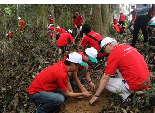 Thanh Hóa ra quân trồng rừng "vì một Việt Nam Xanh"
