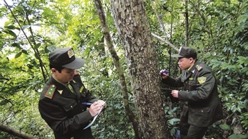 Kiên quyết xử lý các sai phạm liên quan vụ phá rừng ở Vườn Quốc gia Ba Bể 