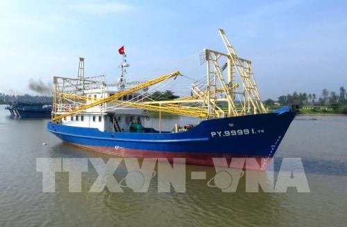 Nhiều chủ tàu vỏ thép ở Bình Định có nguy cơ bị phá sản