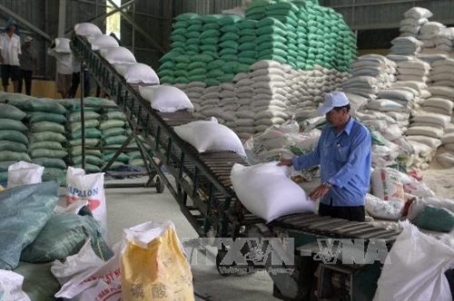 Hơn 92% lượng gạo xuất khẩu là hợp đồng thương mại