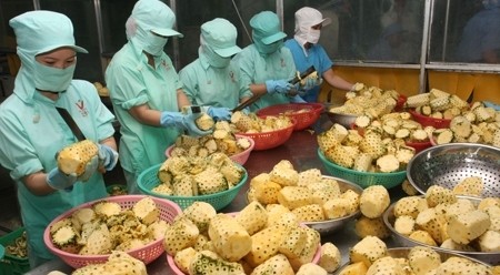 越南农产品：机遇与挑战并存