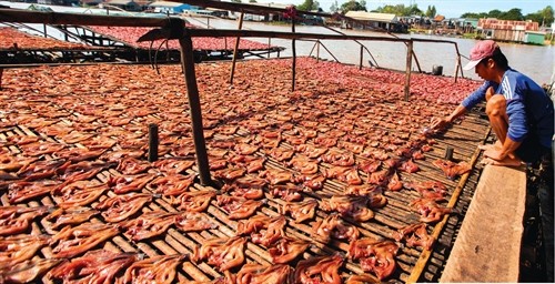 Làm giàu ở làng nuôi cá bè Châu Đốc