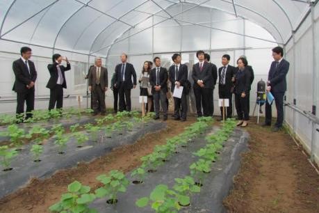 许多日本企业希望赴河南省对农业领域进行投资