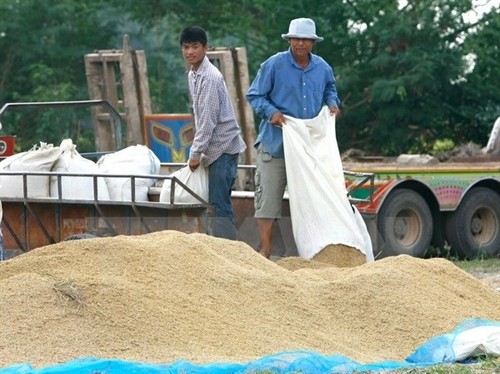2017年前四月泰国大米出口量达340万吨