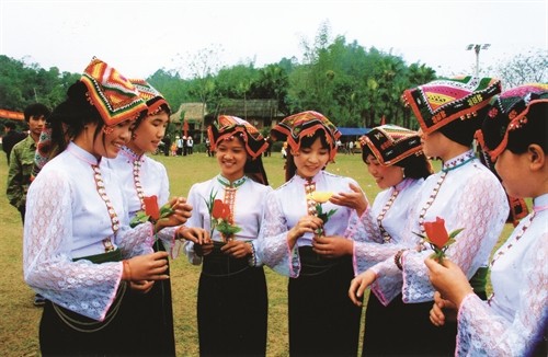 越南泰族