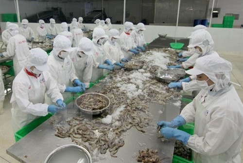 越南拟定2025年前虾类养殖业发展计划