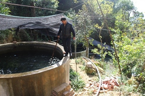 Triệu Văn Trình - Bí thư người Dao đi đầu làm giàu nhờ nuôi cá hồi
