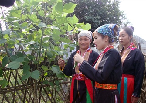 Bắc Giang hỗ trợ đồng bào dân tộc thiểu số thiếu đất sản xuất