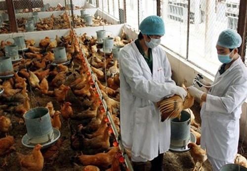 甲型H7N9禽流感病毒发生变异