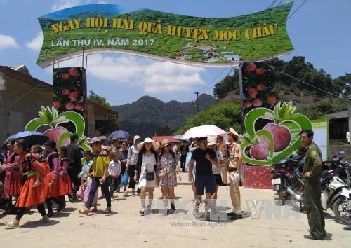 Ngày hội hái quả huyện Mộc Châu năm 2017