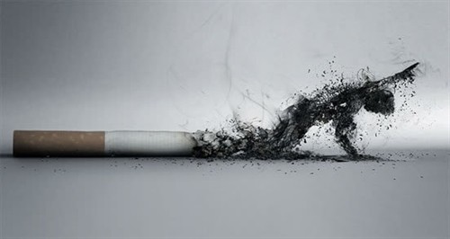烟草每年使全球700多万人失去生命