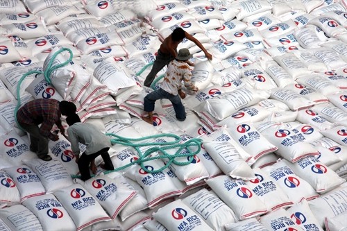 Xuất khẩu gạo: Doanh nghiệp nhỏ mong chờ được “cởi trói”