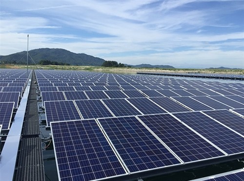 中盛光电集团希望在九龙江三角洲地区投资发展太阳能电池行业
