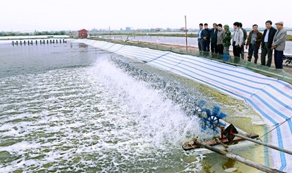 Ninh Bình đưa công nghệ cao vào phát triển thủy sản
