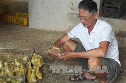 Ông Đặng Xuân Hùng làm giàu với mô hình trang trại hỗn hợp