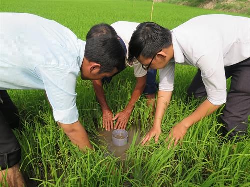Hợp tác quản lý nông nghiệp, nông thôn để phát triển bền vững