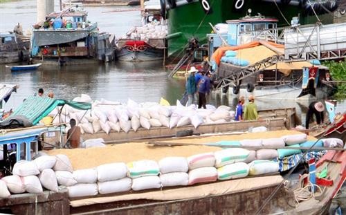 越南力争2017年大米出口量达570万吨