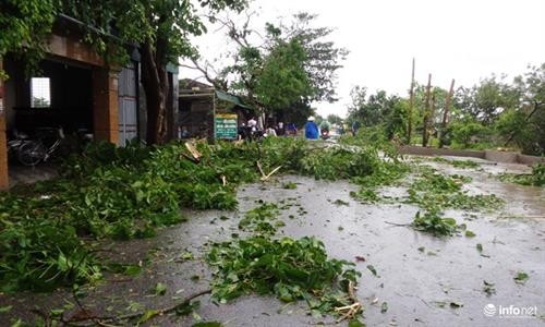第二号台风袭击越南北部和中部各省 致使11人死亡和失踪