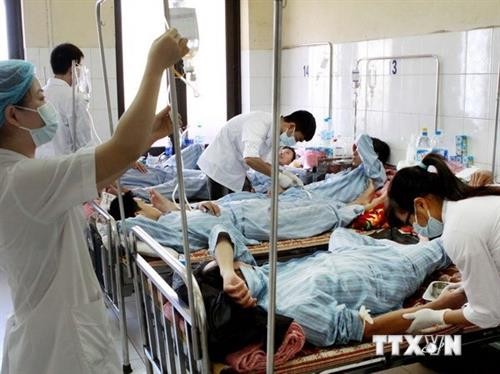 越南全国报告的登革热病例5万例