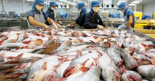 Cá tra Việt Nam đạt tiêu chuẩn hàng đầu trong siêu thị AEON ở Nhật