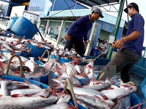 越南查鱼及水产品交易会将于10月举行
