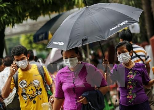 缅甸爆发禽流感和猪流感