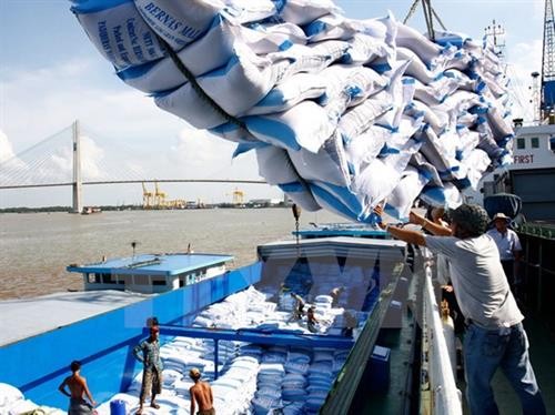 越南企业中标对菲律宾出售17.5万吨大米