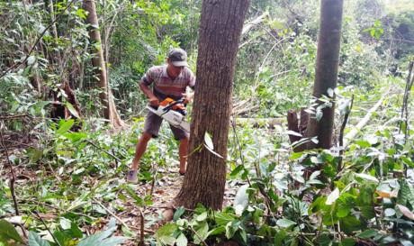 Kiến nghị dừng các dự án sử dụng rừng và đất lâm nghiệp ở Phú Yên