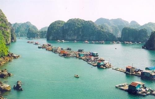 越南广宁省下龙湾上的万门渔村跻身景色美轮美奂之村的前22强