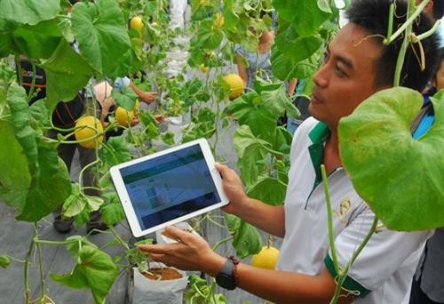 Kinh nghiệm ứng dụng công nghệ quốc tế vào nông nghiệp Việt Nam
