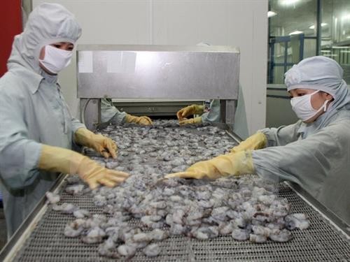 今年上半年越南虾类产品出口额同比增长近16%