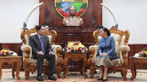 老挝国会主席巴妮·雅陶都会见越南祖国阵线中央委员会主席陈青敏