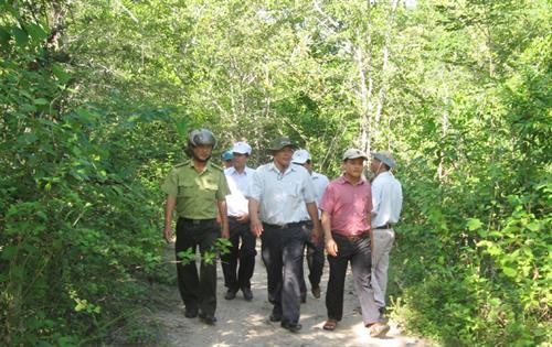 Phú Yên đầu tư hơn 37 tỷ đồng quy hoạch Khu rừng đặc dụng Krông Trai