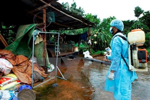 越南南部各省市努力防控登革热病疫情