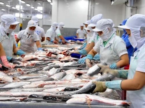 美国实施新的进口鲶鱼产品检验操作规程后 越南对美查鱼出口情况仍保持稳定
